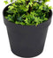 vidaXL - Kunstplant - met - pot - buxus - 100 - cm - groen