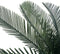 vidaXL - Kunstplant - met - pot - cycaspalm - 125 - cm - groen
