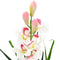 vidaXL - Kunstplant - met - pot - cymbidium - orchidee - 100 - cm - groen