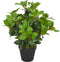 vidaXL - Kunstplant - met - pot - laurierboom - 130 - cm - groen