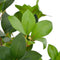 vidaXL - Kunstplant - met - pot - laurierboom - 40 - cm - groen