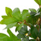 vidaXL - Kunstplant - met - pot - laurierboom - 40 - cm - groen