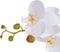 vidaXL - Kunstplant - met - pot - orchidee - 75 - cm - wit