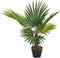 vidaXL - Kunstplant - met - pot - palm - 70 - cm - groen