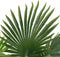 vidaXL - Kunstplant - met - pot - palm - 70 - cm - groen