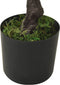 vidaXL - Kunstplant - met - pot - pinus - bonsai - 60 - cm - groen