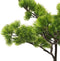 vidaXL - Kunstplant - met - pot - pinus - bonsai - 60 - cm - groen
