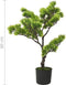 vidaXL - Kunstplant - met - pot - pinus - bonsai - 60 - cm - groen