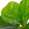 vidaXL - Kunstplant - met - pot - vioolbladplant - 45 - cm - groen