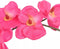 vidaXL - Kunstplant - orchidee - met - pot - 30 - cm - rood