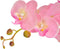 vidaXL - Kunstplant - orchidee - met - pot - 30 - cm - rood