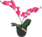 vidaXL - Kunstplant - orchidee - met - pot - 30 - cm - wit