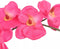 vidaXL - Kunstplant - orchidee - met - pot - 30 - cm - wit