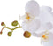 vidaXL - Kunstplant - orchidee - met - pot - 30 - cm - wit