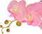 vidaXL - Kunstplant - orchidee - met - pot - 75 - cm - roze