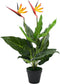 vidaXL - Kunstplant - paradijsvogelbloem - 66 - cm