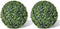 vidaXL - Kunstplanten - buxusbol - 2 - st - 35 - cm
