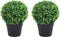 vidaXL - Kunstplanten - met - pot - 2 - st - buxus - bolvorming - 32 - cm - groen