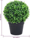 vidaXL - Kunstplanten - met - pot - 2 - st - buxus - bolvorming - 32 - cm - groen
