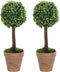 vidaXL - Kunstplanten - met - pot - 2 - st - buxus - bolvorming - 56 - cm - groen