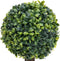 vidaXL - Kunstplanten - met - pot - 2 - st - buxus - bolvorming - 56 - cm - groen