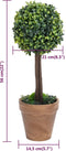 vidaXL - Kunstplanten - met - pot - 2 - st - buxus - bolvorming - 56 - cm - groen