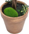vidaXL - Kunstplanten - met - pot - 2 - st - buxus - bolvorming - 56 - cm - groen