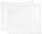vidaXL - Kussens - 2 - st - 70x60x14 - cm - traagschuim