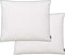 vidaXL - Kussens - 2 - st - licht - 70x60 - cm - dons-/verenvulling - wit