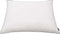 vidaXL - Kussens - 2 - st - licht - 70x60 - cm - dons-/verenvulling - wit