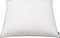 vidaXL - Kussens - 2 - st - licht - 70x60 - cm - dons-/verenvulling - wit