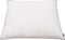 vidaXL - Kussens - 2 - st - licht - 80x80 - cm - dons-/verenvulling - wit