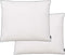 vidaXL - Kussens - 2 - st - licht - 80x80 - cm - dons-/verenvulling - wit