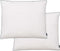 vidaXL - Kussens - 2 - st - zwaar - 70x60 - cm - dons-/verenvulling - wit