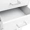 vidaXL - Ladeblok - verrijdbaar - 28x41x69 - cm - metaal - antracietkleurig