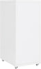 vidaXL - Ladeblok - verrijdbaar - 28x41x69 - cm - metaal - wit