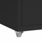 vidaXL - Ladeblok - verrijdbaar - 28x41x69 - cm - metaal - zwart