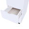 vidaXL - Ladekast - 33x45x60 - cm - wit