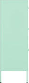 vidaXL - Ladekast - 80x35x101,5 - cm - staal - mint