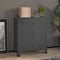 vidaXL - Ladekast - industrieel - 78x40x93 - cm - metaal - antracietkleurig