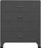 vidaXL - Ladekast - industrieel - 78x40x93 - cm - metaal - antracietkleurig