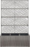 vidaXL - Latwerkplantenbak - verhoogd - met - potten - 58x30x107 - cm - rattan - zwart