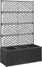 vidaXL - Latwerkplantenbak - verhoogd - met - potten - 58x30x107 - cm - rattan - zwart