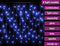 vidaXL - Lichtgordijn - met - 400 - LED's - en - 8 - functies - 10 - m - blauw