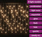 vidaXL - Lichtgordijn - met - 400 - LED's - en - 8 - functies - 10 - m - warmwit