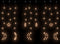 vidaXL - Lichtslinger - ster - en - maan - afstandsbediening - 345 - LED's - warmwit