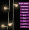 vidaXL - Lichtsnoer - met - 200 - LED's - 8 - functies - warmwit - 20 - m