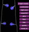 vidaXL - Lichtsnoer - met - 400 - LED's - 8 - functies - blauw - 40 - m