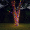 vidaXL - Lichtsnoeren - 2 - st - 2x200 - LED's - solar - binnen/buiten - meerkleurig