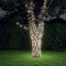 vidaXL - Lichtsnoeren - 2 - st - met - 2x200 - LED's - solar - binnen/buiten - koudwit